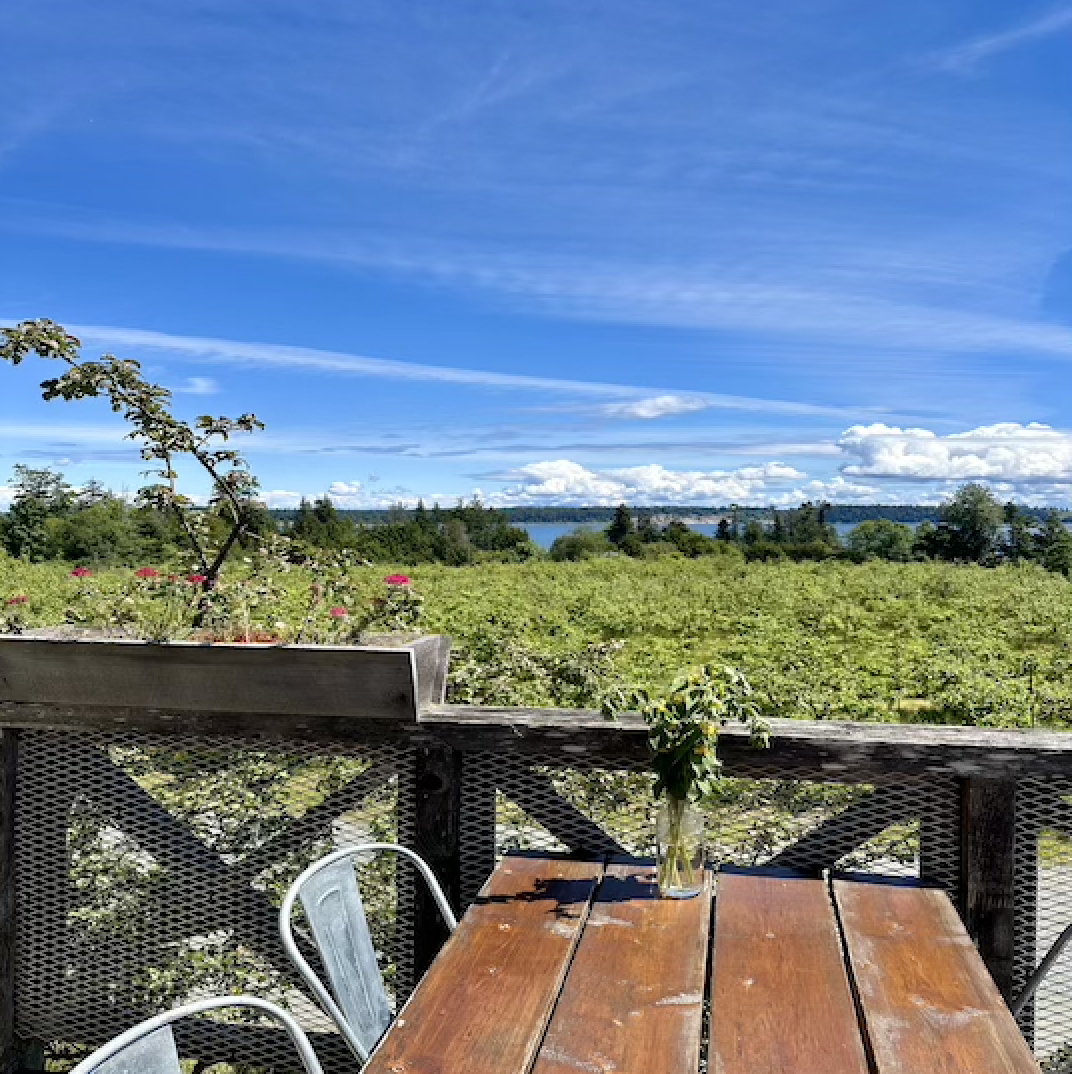 Sky image, highlighting the nature and sustainability emphasis of the conference.